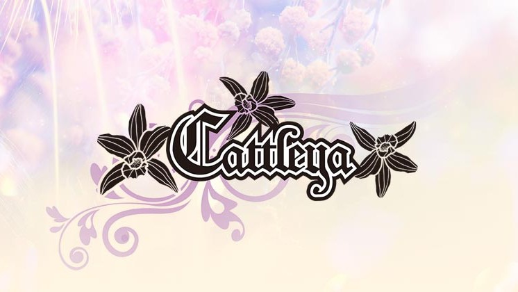 Cattleya求人バナー